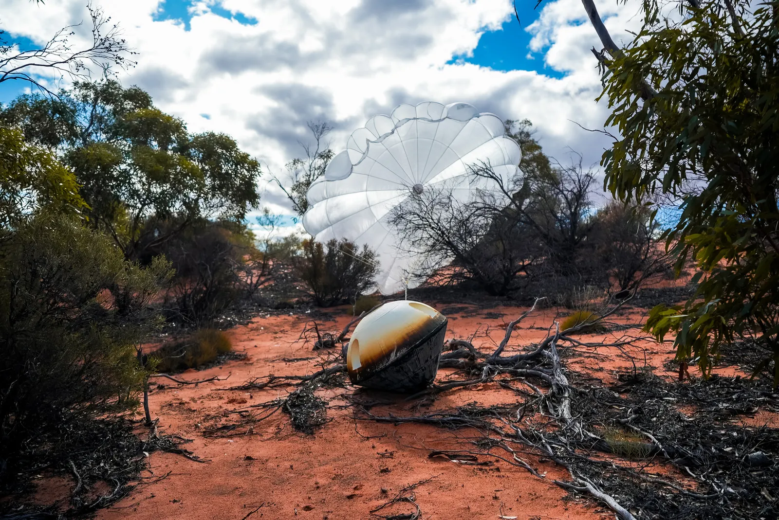 Varda capsule