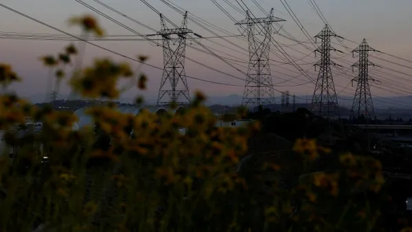 Transmission towers with flowers in the foreground
