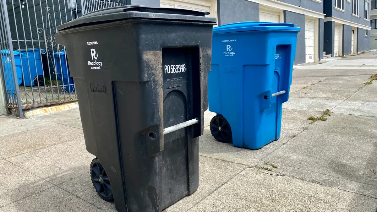 A black trash bin and blue recycling bin sit on a curb