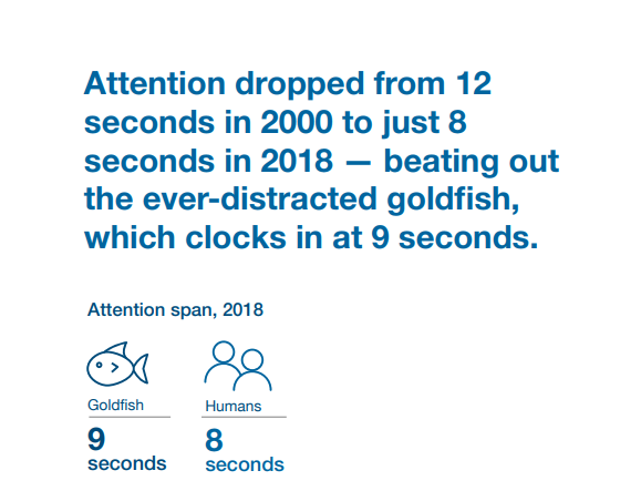Goldfish attention span graphic