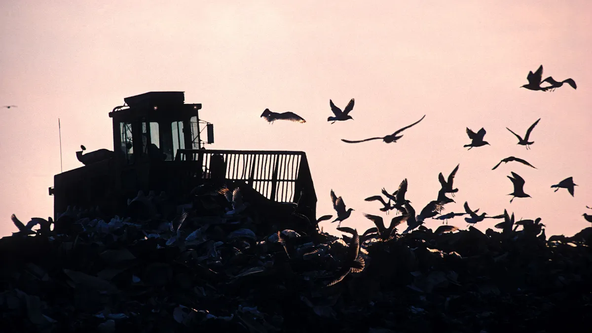 A silhouette bulldozer pushing through a landfill at sunset as a flock of seagulls fly overhead.