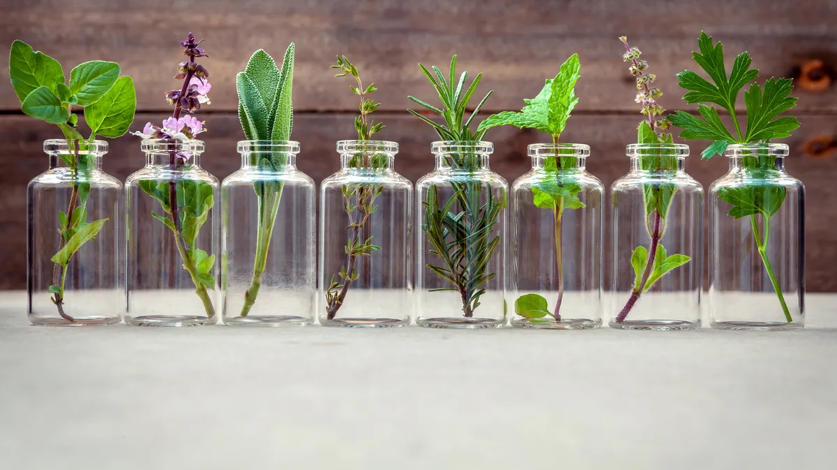 Adaptogenic herbs in bottles.