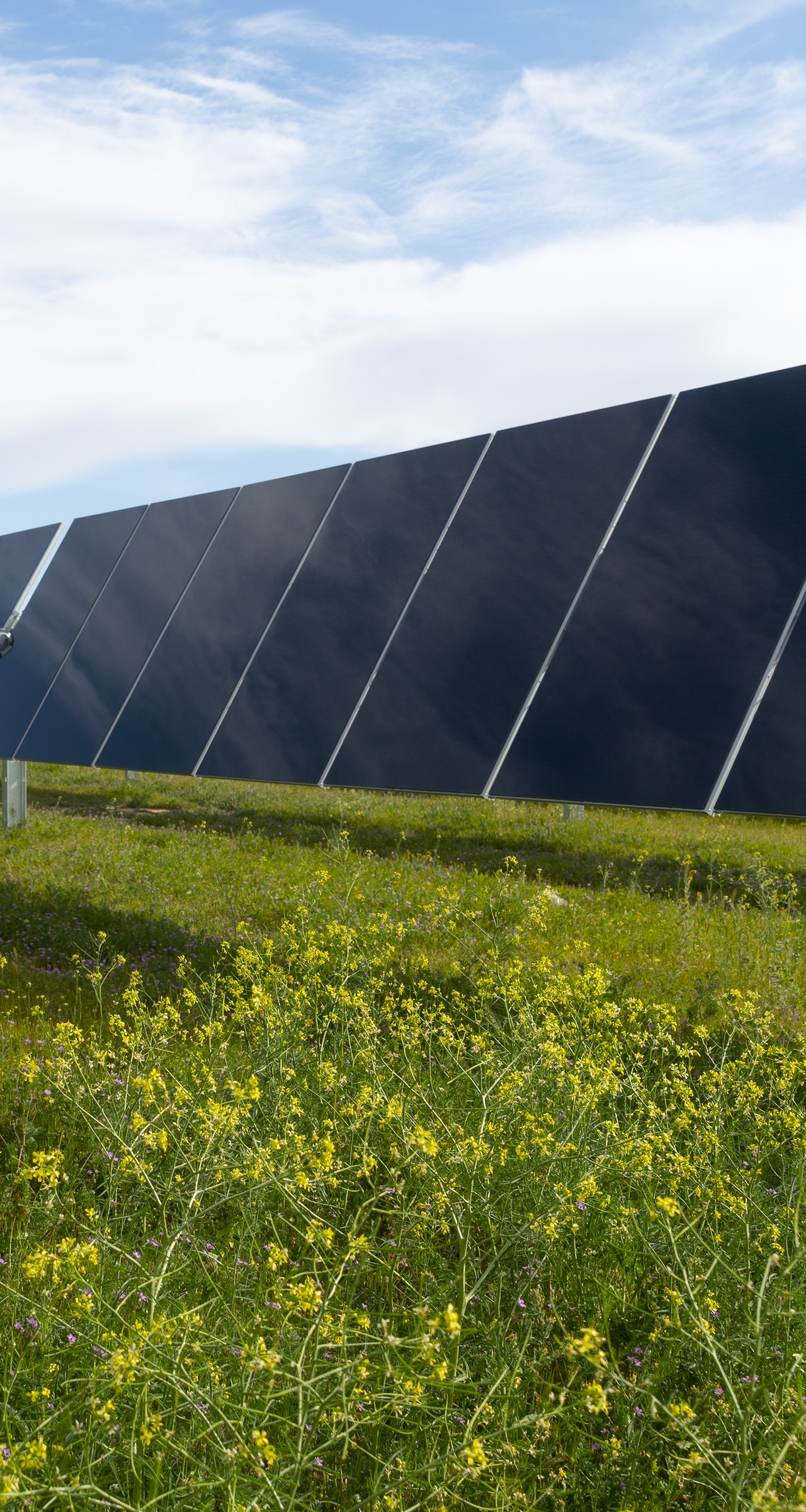 First Solar's Series 6 modules deployed in a project in Kern County, California