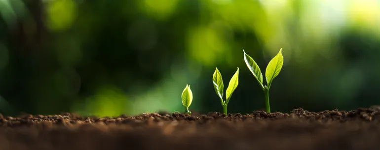 ISSB seeks feedback nature-related disclosure proposal | ESG Dive