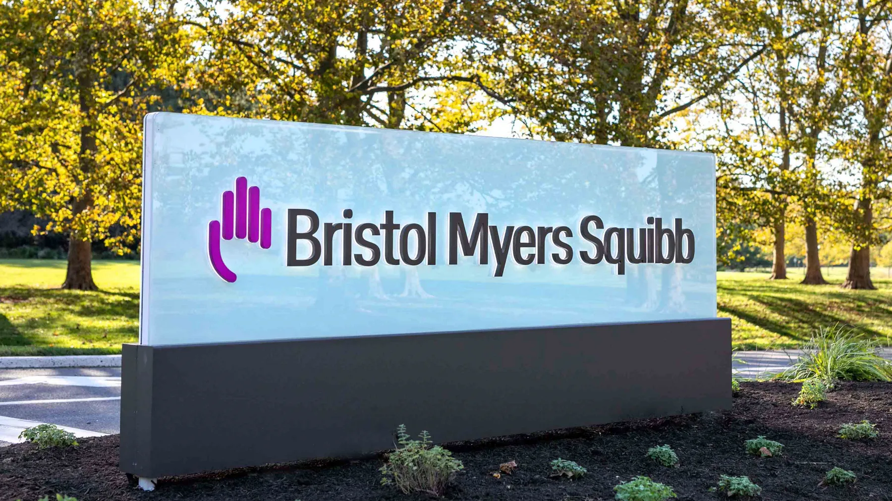 BMS corporate sign