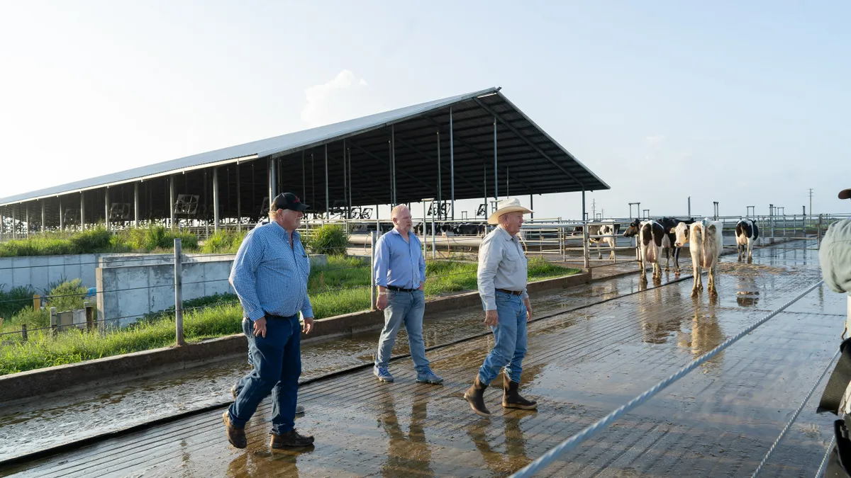 Three men stand near dairy cows. In the background is a shed housing dairy cows.