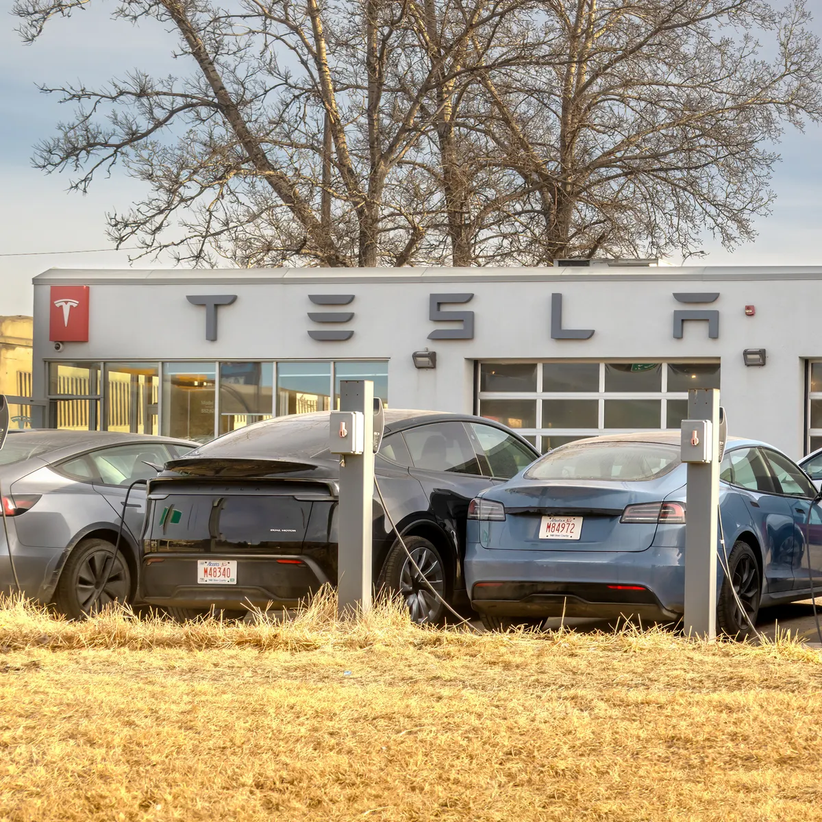 wardsauto.com - Canada's auto strategy banks on EVs for short-term survival