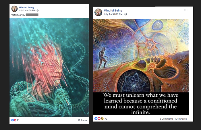 An example of a post from a suspect Facebook Page