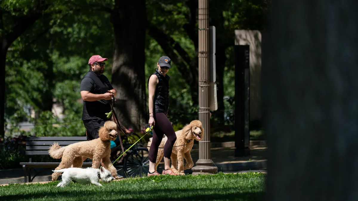 People walk dogs on the National Mall in Washington, DC.