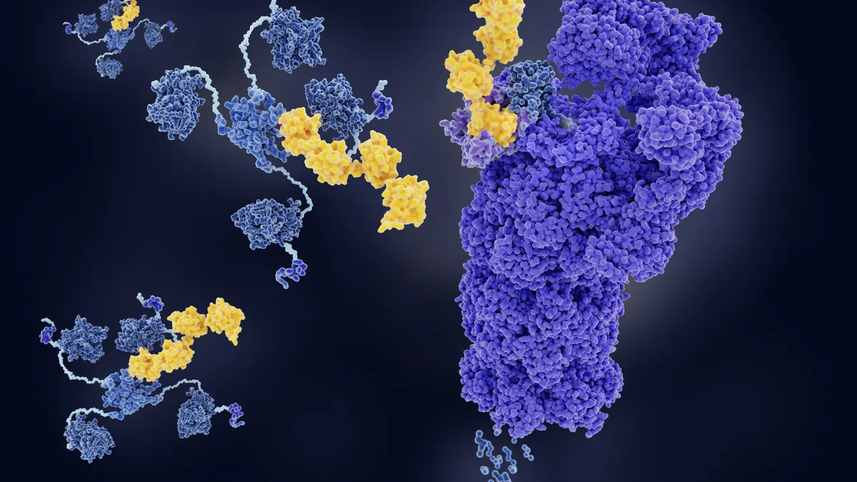 An illustration of a tumor suppressor protein being tagged for degradation.