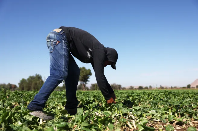 HowGood, Sweep partner to track carbon footprint of food, agriculture products