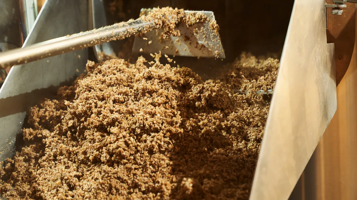 spent brewing grain