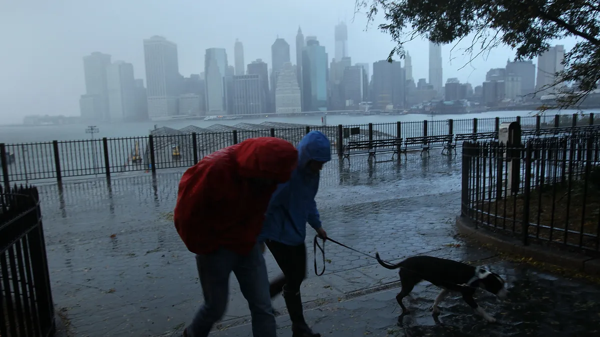 Two people in rain coats hunch as they walk a leashed dog along a waterfront path with a city skyline in the background.