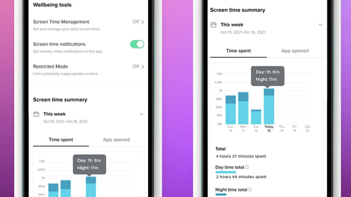 TikTok Screen Time Breaks