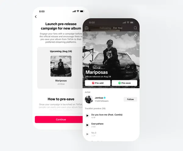 TikTok for Artists