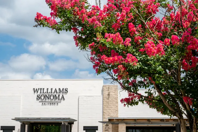 Williams-Sonoma names president of Rejuvenation