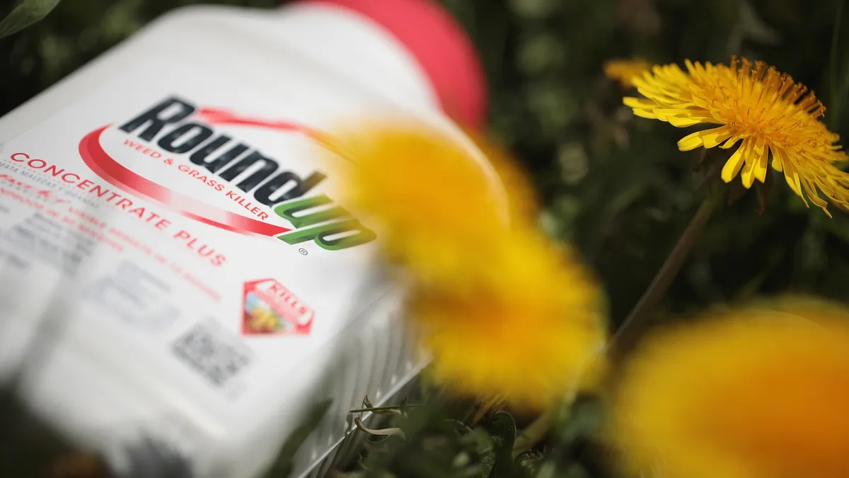 A bottle of Roundup weed killer is seen next to yellow flowers