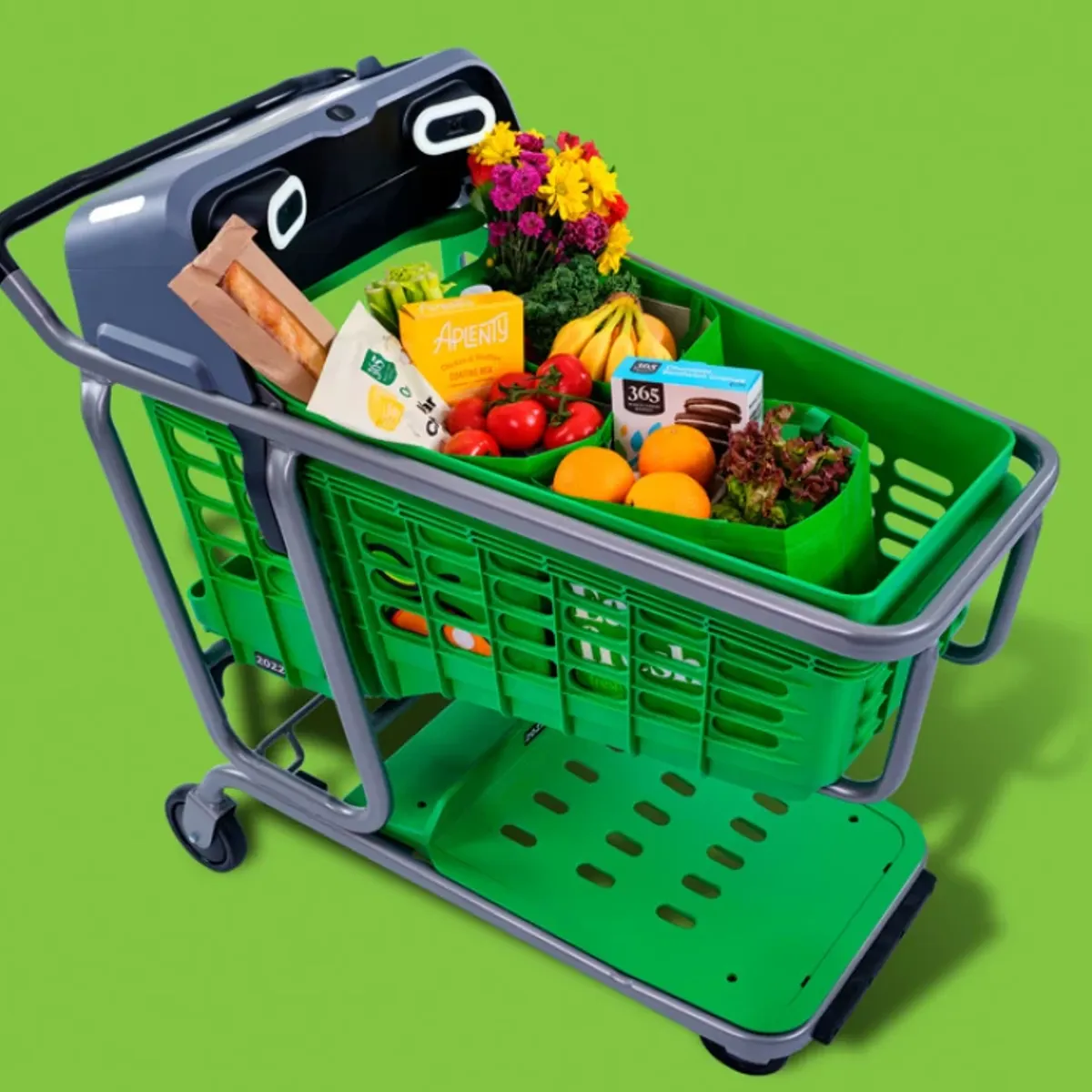 Z3M6Ly9kaXZlc2l0ZS1zdG9yYWdlL2