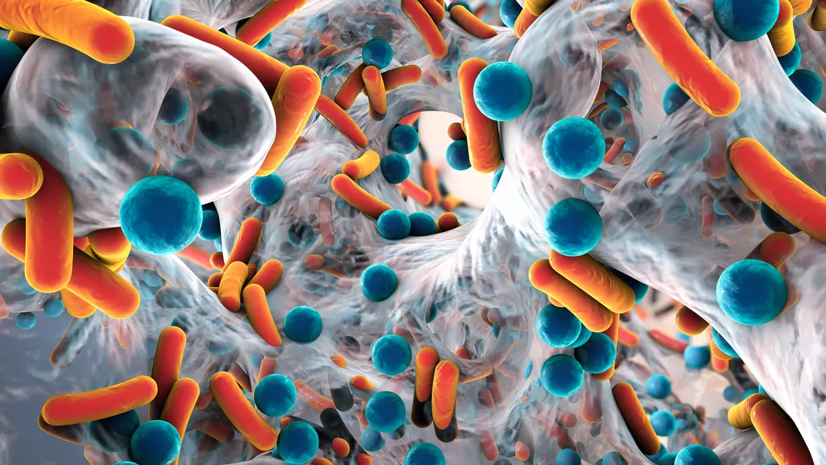 An illustration of antibiotic-resistant bacteria, including Staphylococcus aureus
