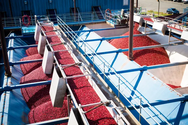 Ocean Spray names chief supply chain officer