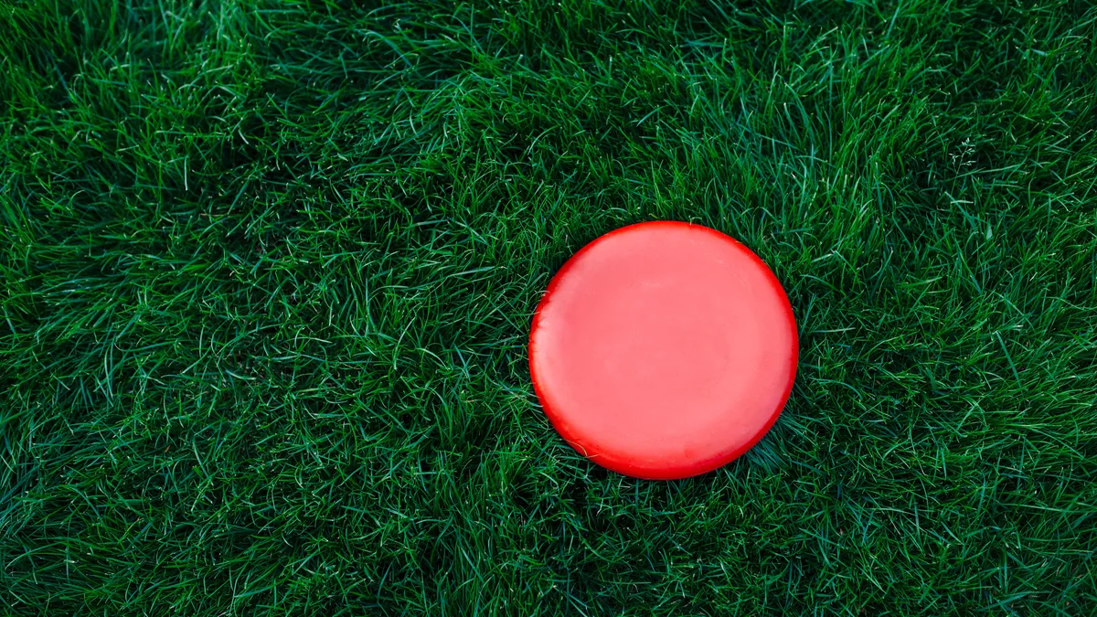 A flying disc sits in the grass.