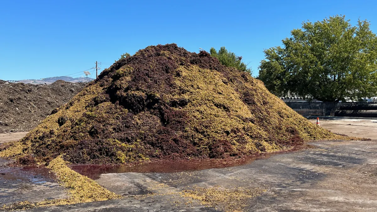 Pile of grape pomace at California compost facility, mountains in background