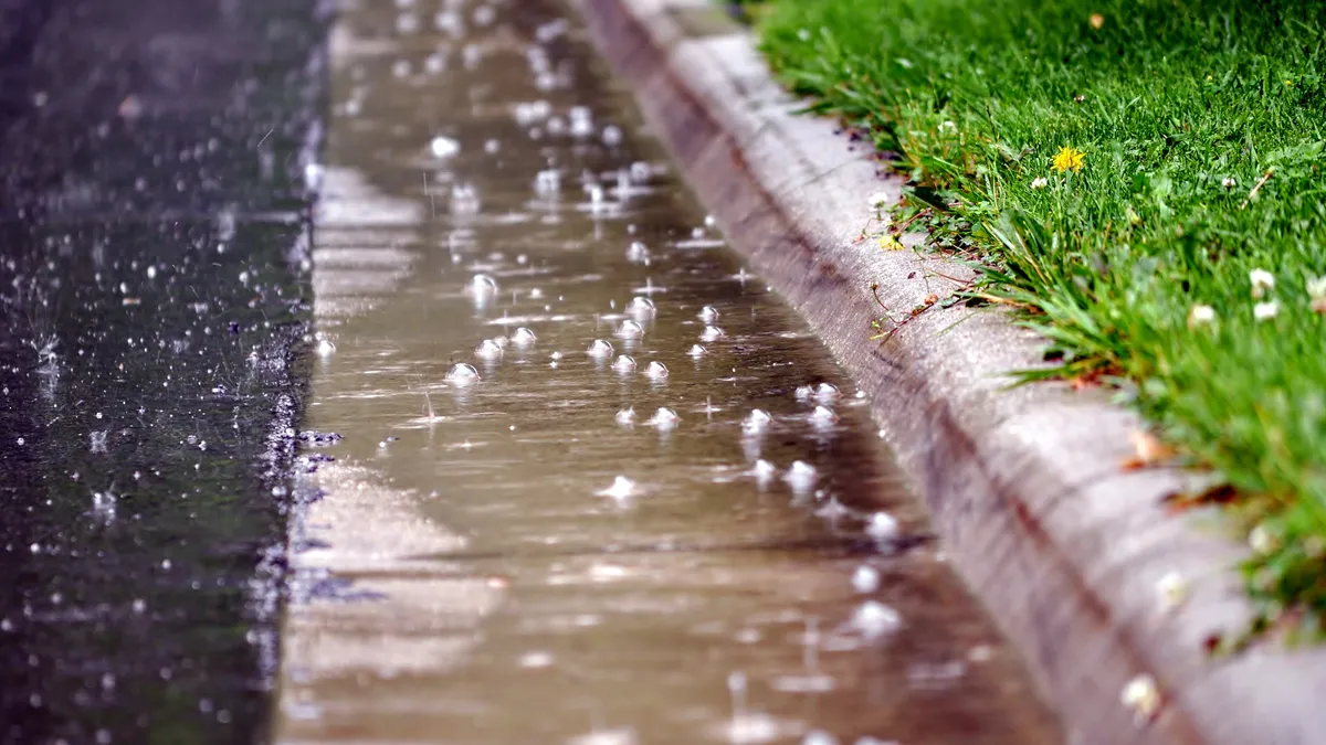 Rain falls on a curb with grass.