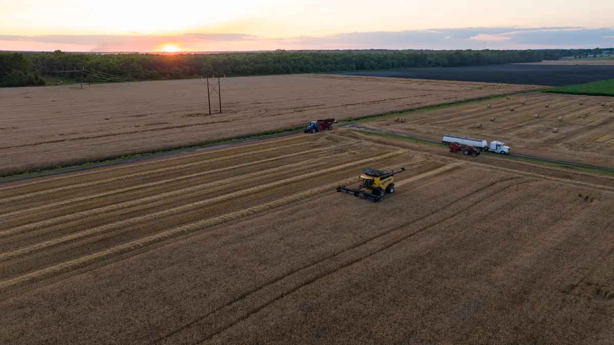 A wheat field is seen from above, with tractors combing the rows