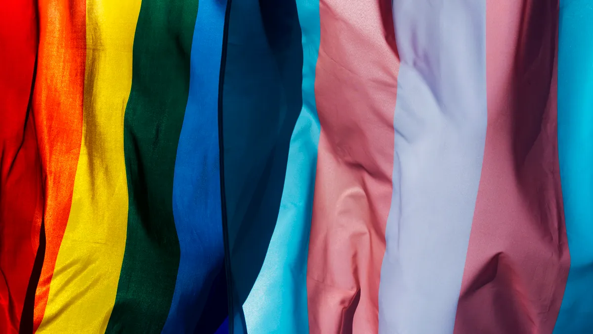 Picture of LGBTQ pride flags