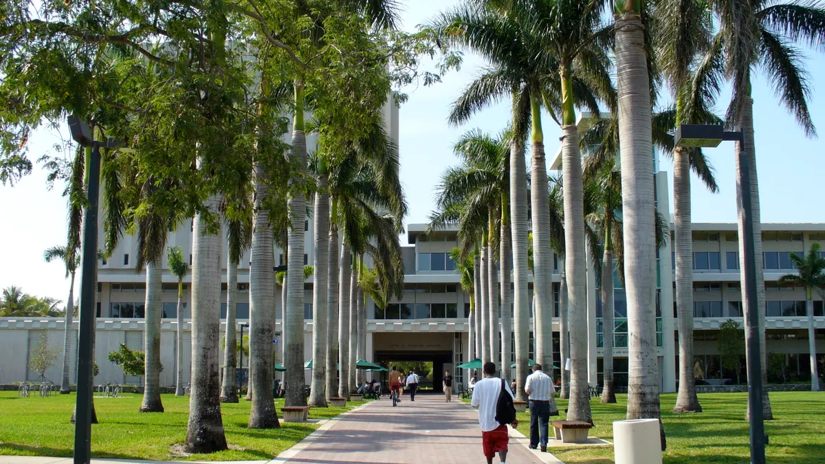 A palm tree-lined walkway leading to a college library building.