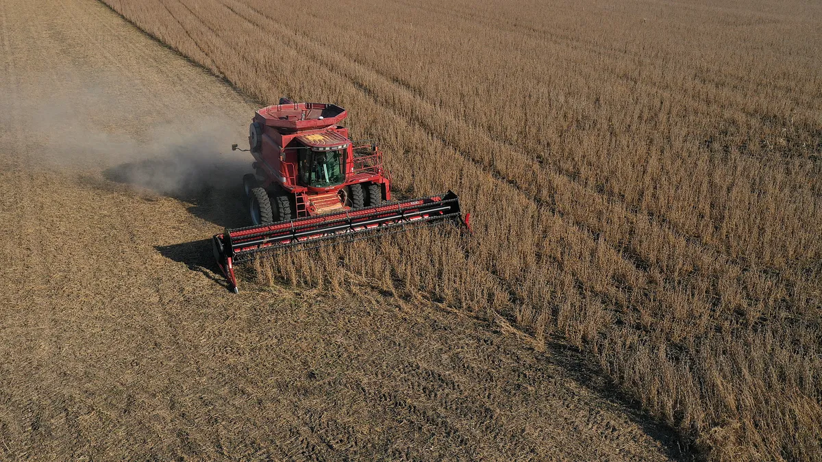 A tractor is seen harvesting a brown field of soybeans