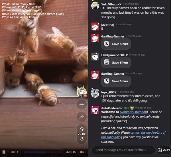 RPAN bees live-stream