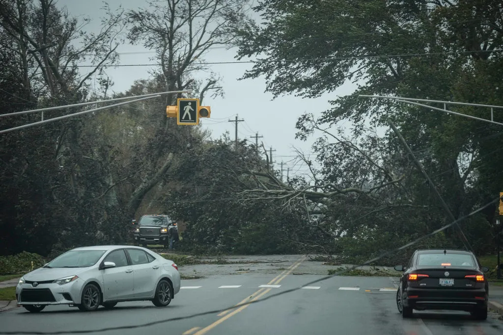 Multiple vehicles surrounded by down trees during a storm in Nova Scotia, Canada
