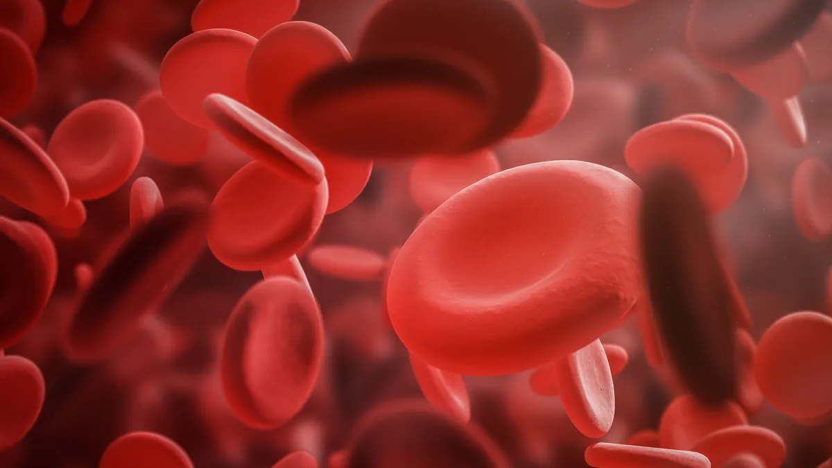 An illustration of red blood cells