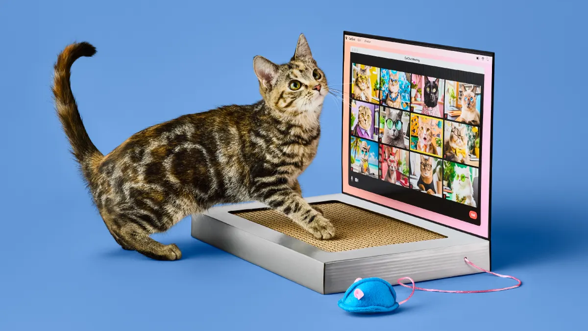 A cat on a blue background playing with a scratch pad that looks like a computer.