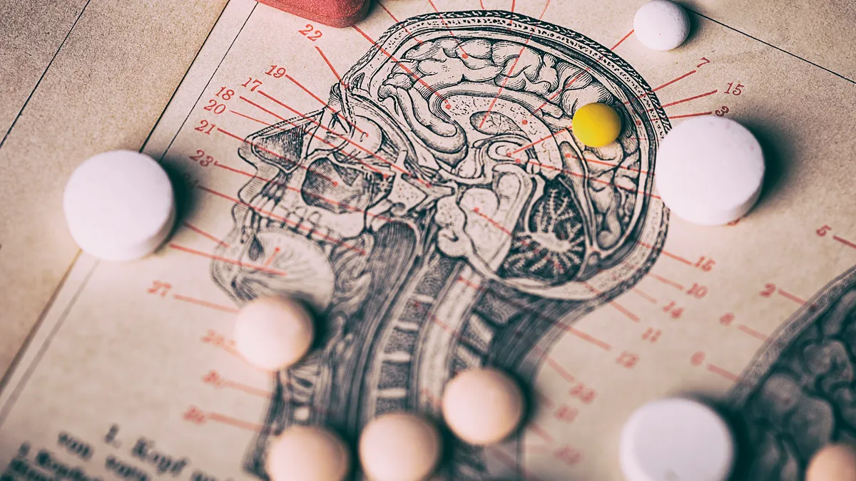 Pills of varying colors lay on top a map of the human brain