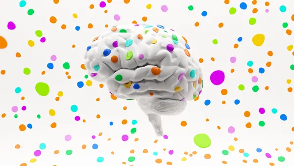 Psychedelic therapy brain