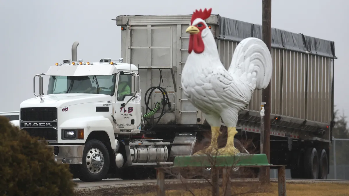 A truck drives out of the parking lot, passing a large statue of a chicken.