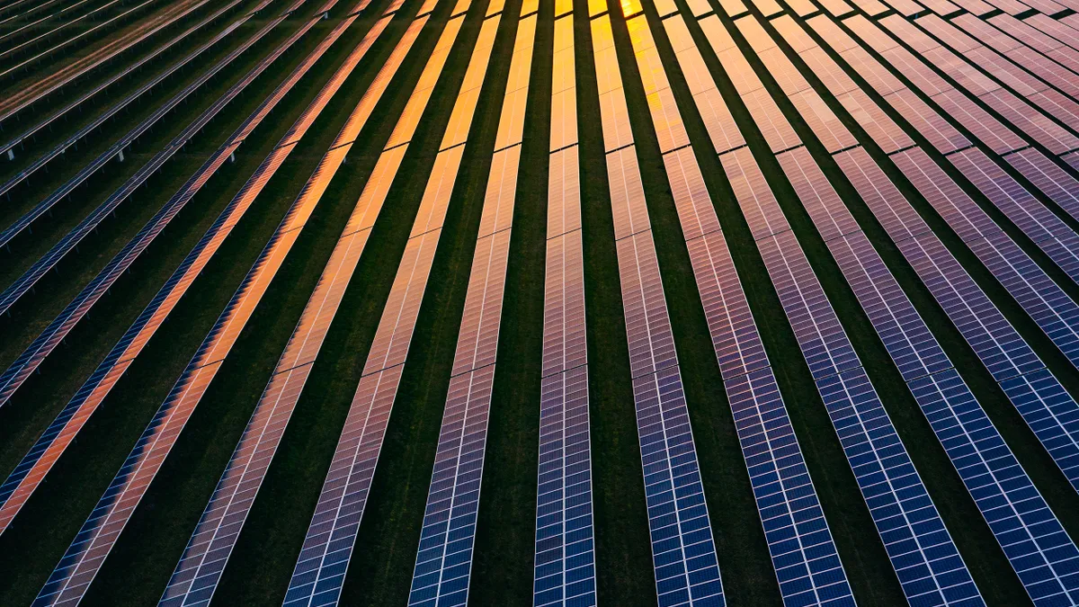 Solar panels at dusk