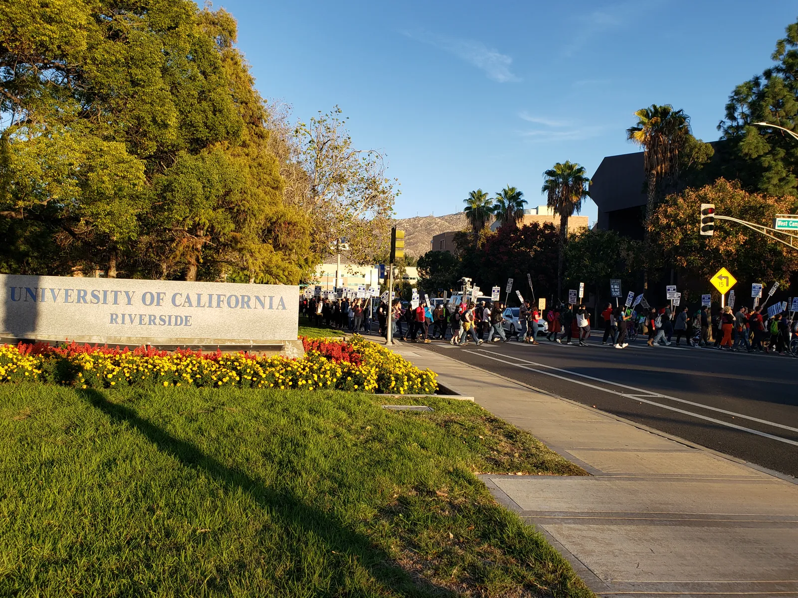 People walk with picket signs near a campus identifying the University of California, Riverside