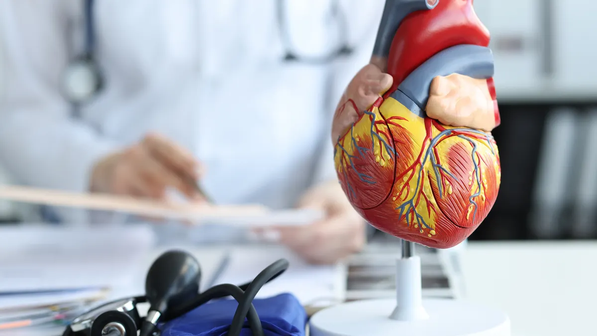 An anatomical model of the heart sits on a desk in a doctor's office