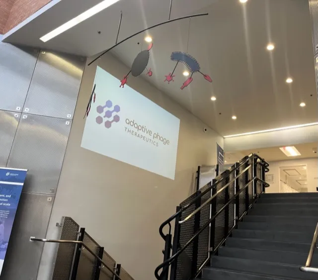 Phage renderings dangle from the ceiling in Adaptive Phage's Rockville headquarters