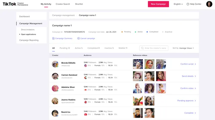 TikTok open applications