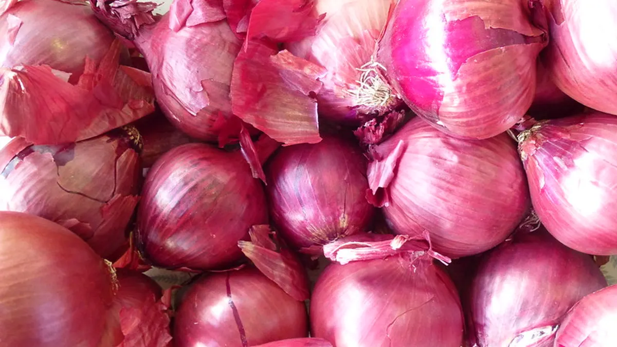 Red onions from Farmer's Row, Eastern Market, Washington DC