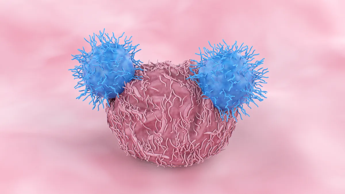 car t cell