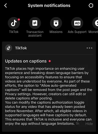 TikTok captions
