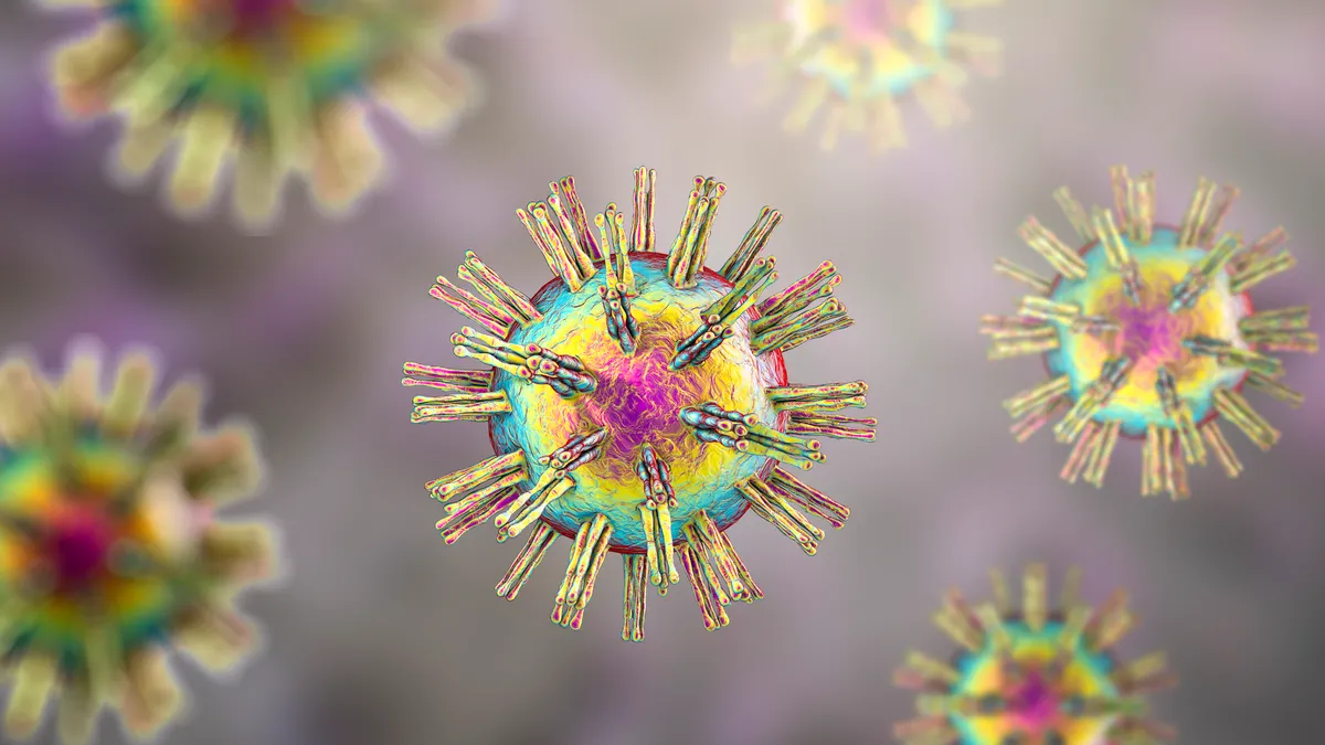 An illustration of a herpes simplex virus