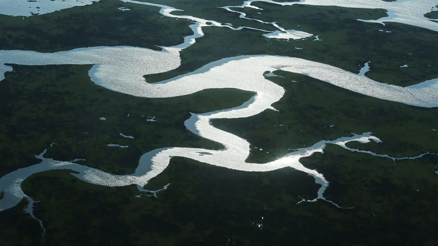 Coastal waters flow through Louisiana wetlands.