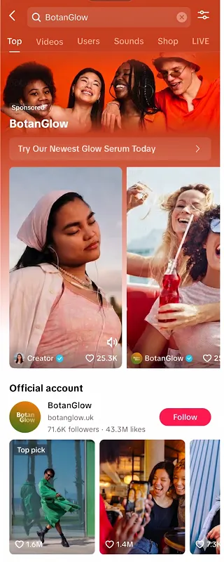 TikTok Search Hubs