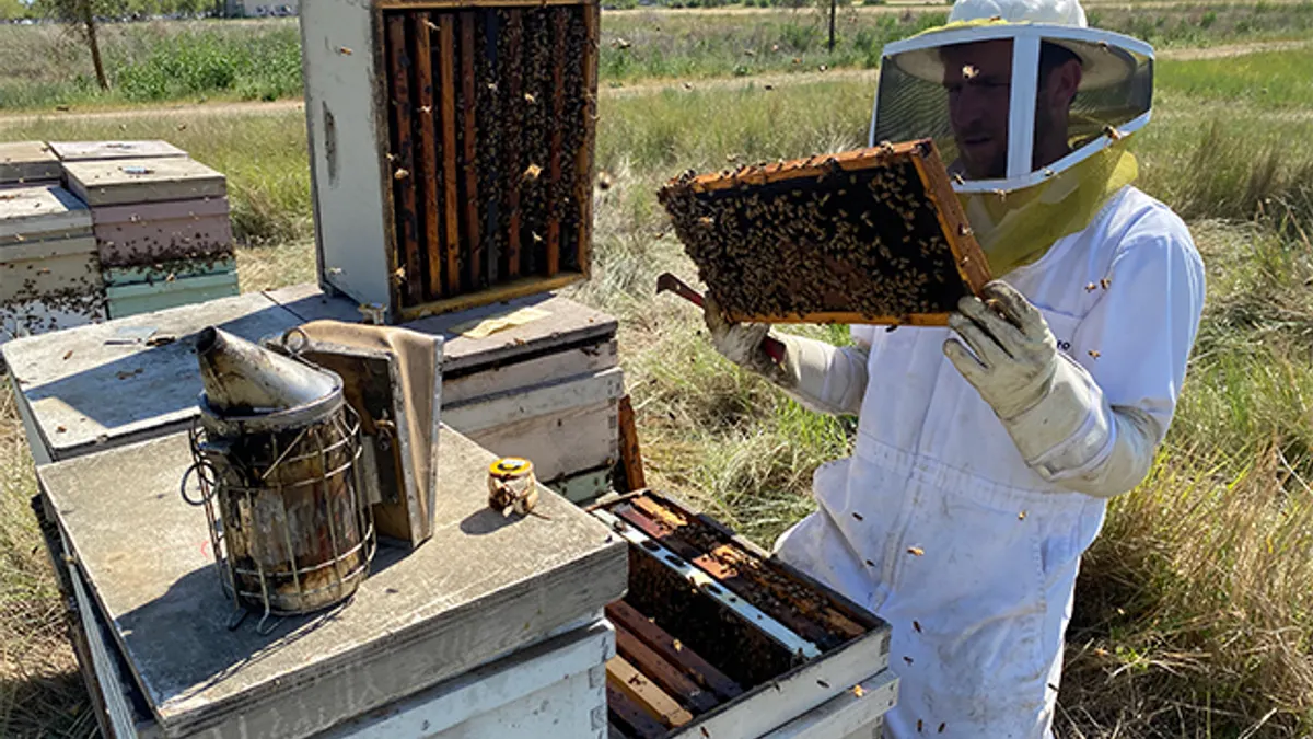 BeeHero beekeeper